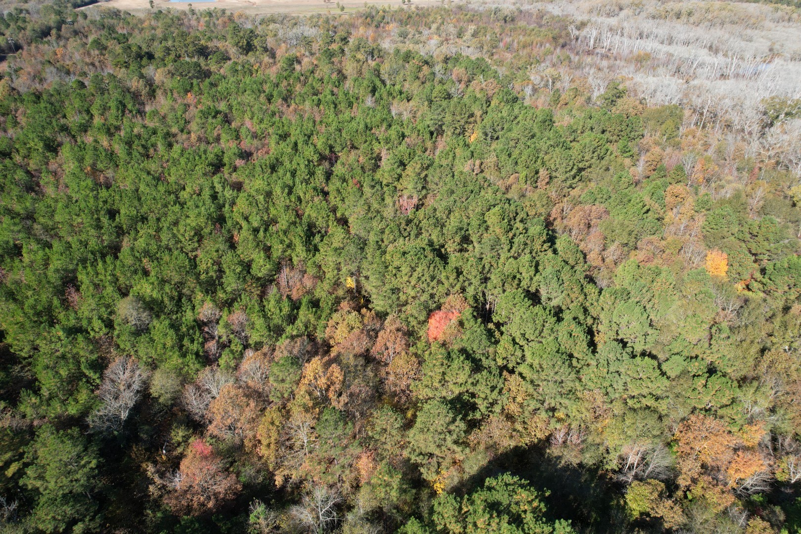 Tbd Fm 1650 Gilmer TX 75645