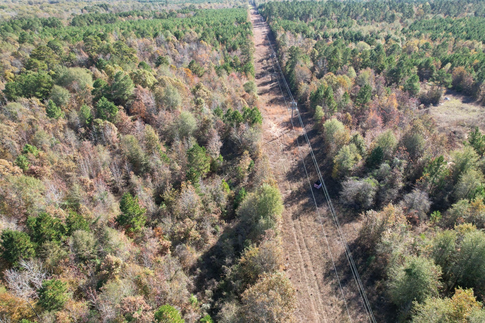 Tbd Fm 1650 Gilmer TX 75645