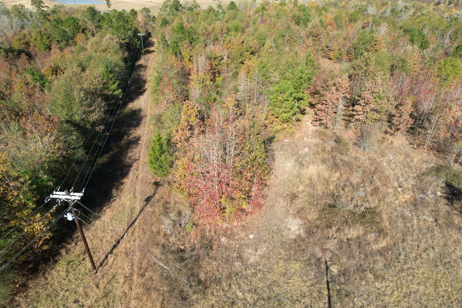 Tbd Fm 1650 Gilmer TX 75645