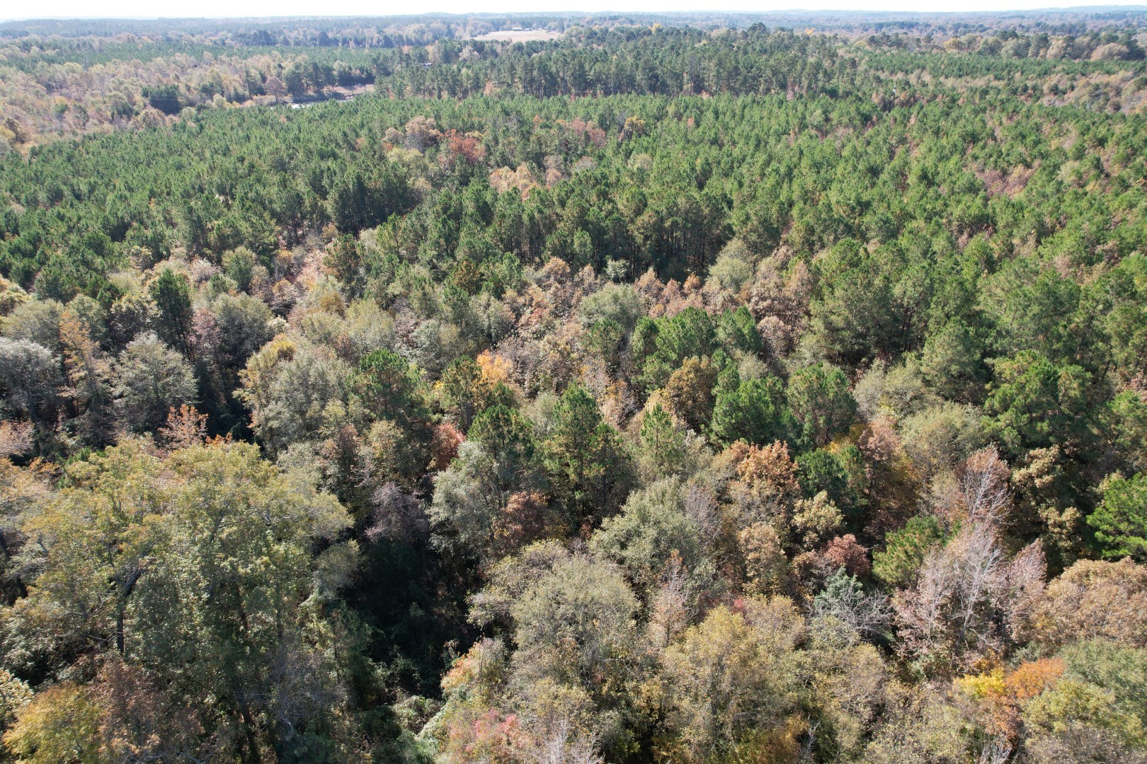 Tbd Fm 1650 Gilmer TX 75645