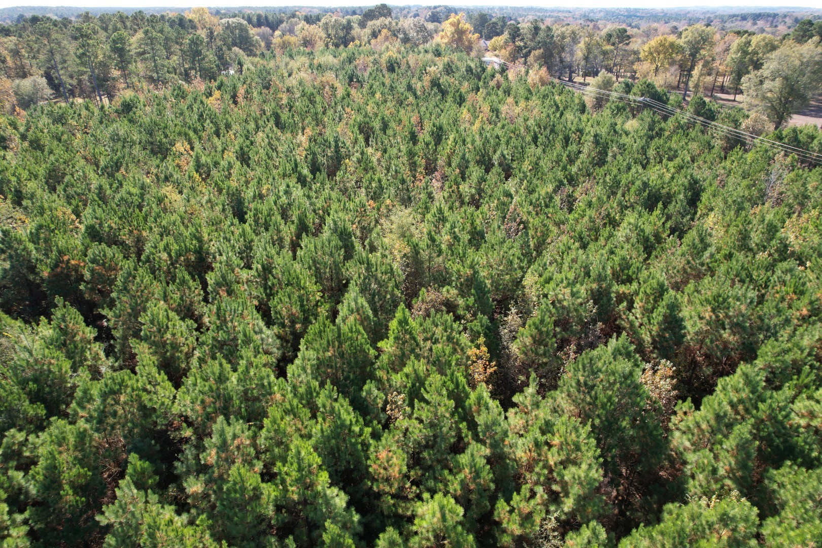 Tbd Fm 1650 Gilmer TX 75645