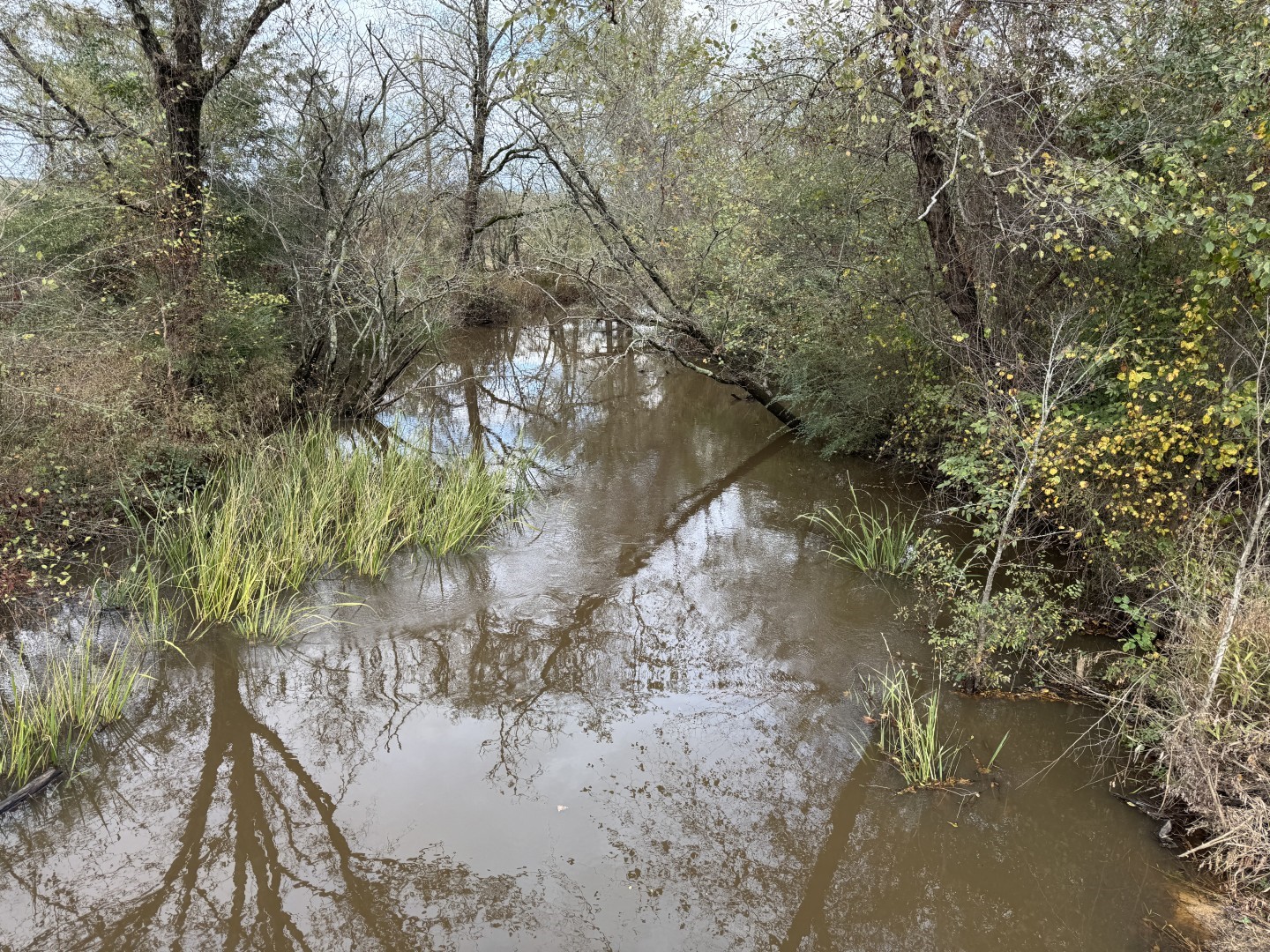 Tbd Fm 1650 Gilmer TX 75645