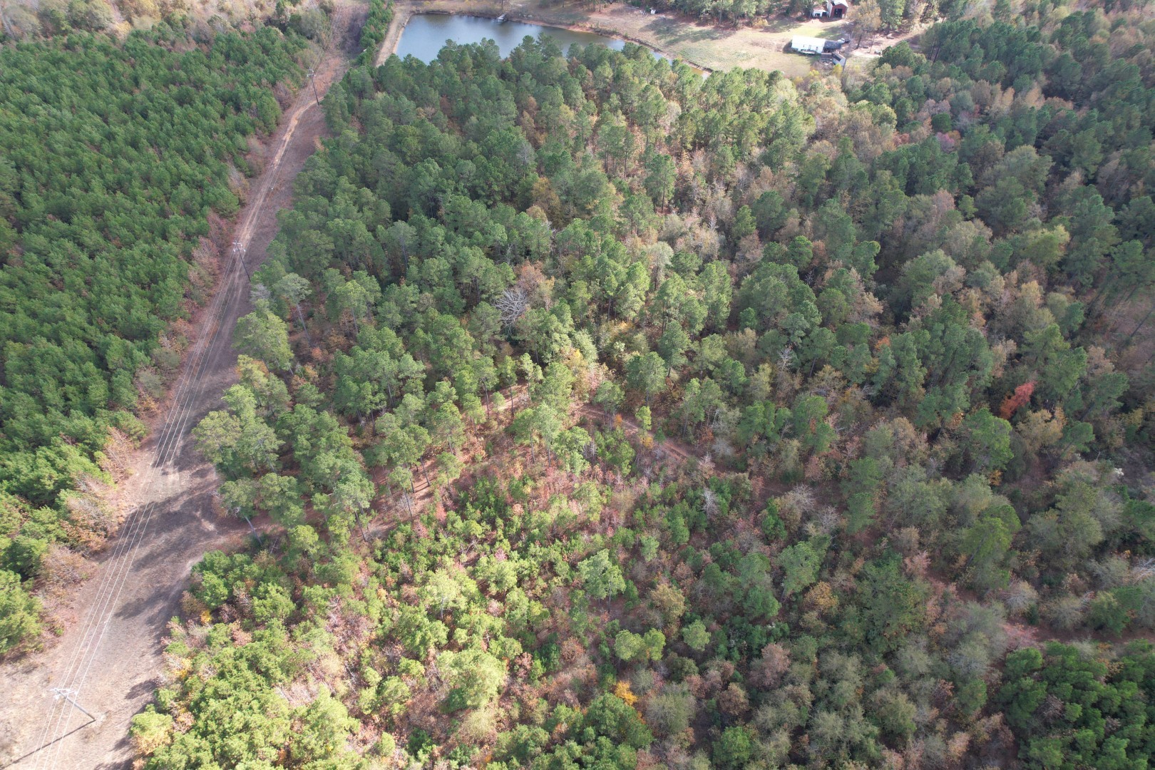 Tbd Fm 1650 Gilmer TX 75645