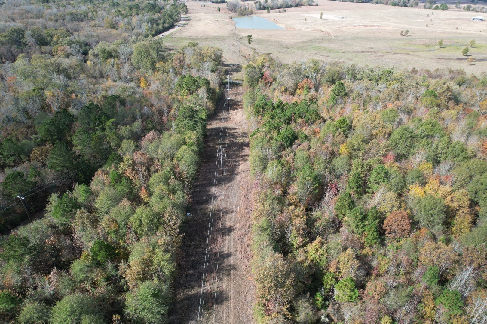 Tbd Fm 1650 Gilmer TX 75645