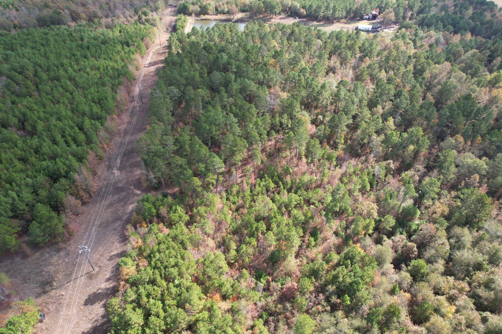 Tbd Fm 1650 Gilmer TX 75645