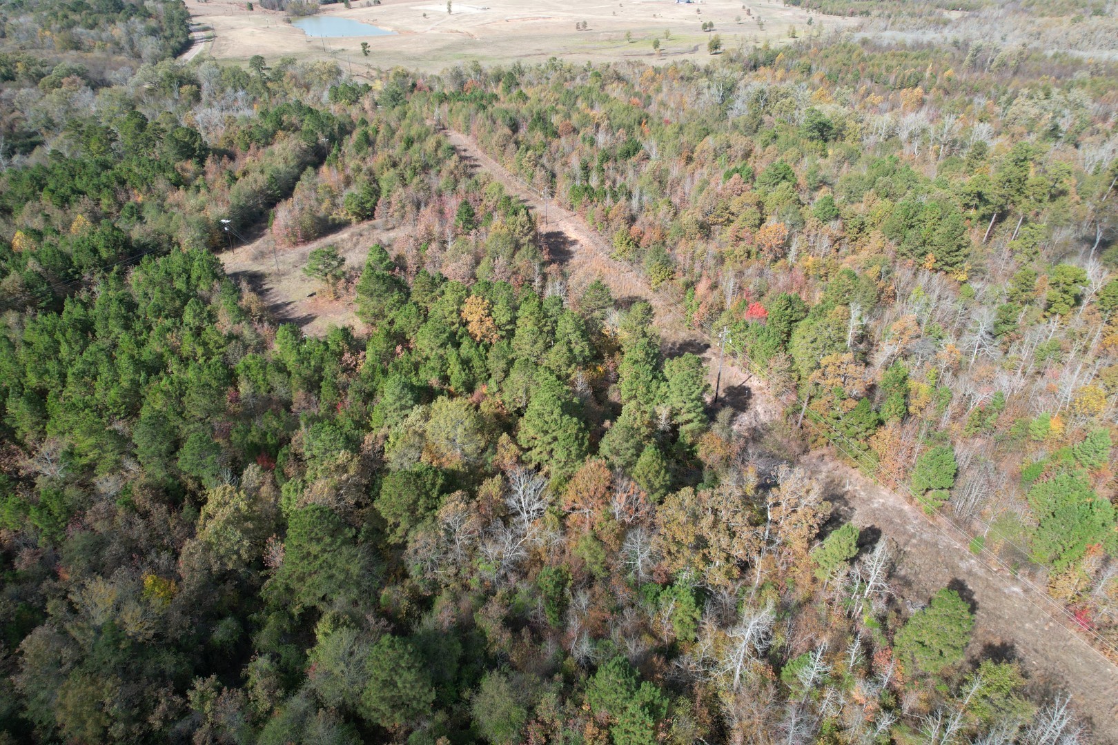 Tbd Fm 1650 Gilmer TX 75645