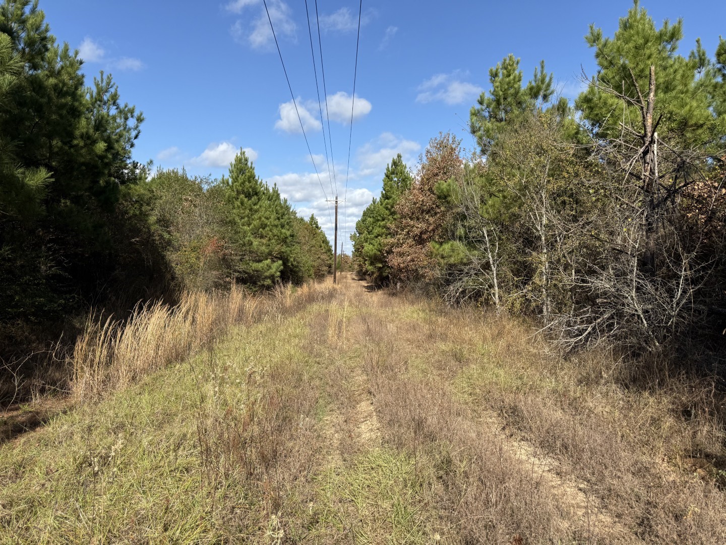 Tbd Fm 1650 Gilmer TX 75645