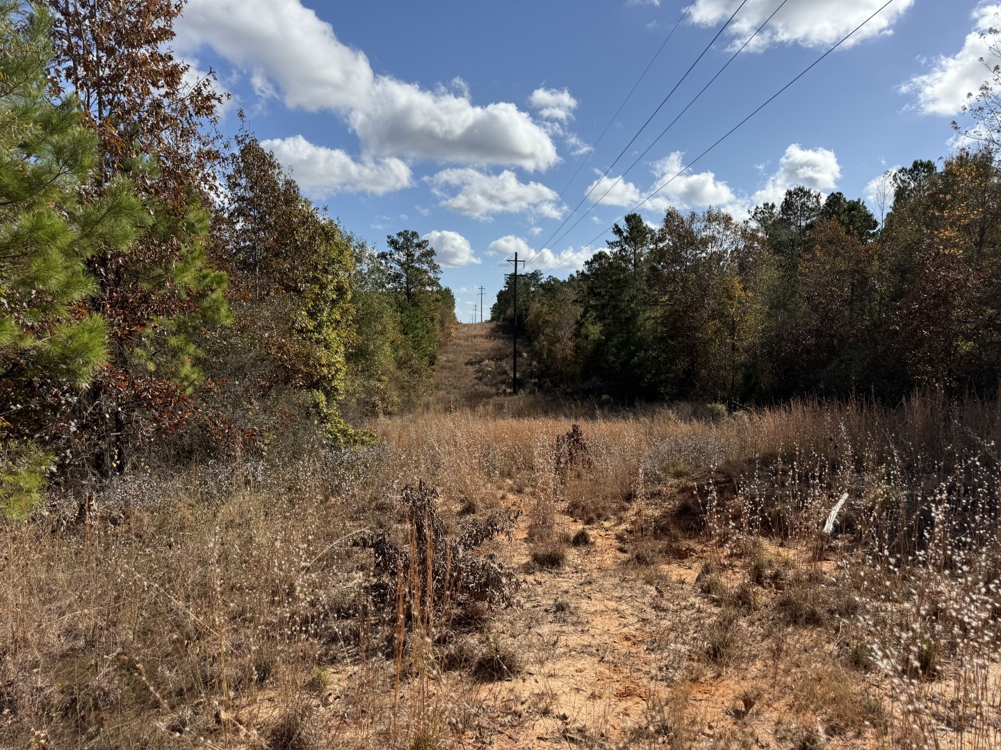 Tbd Fm 1650 Gilmer TX 75645