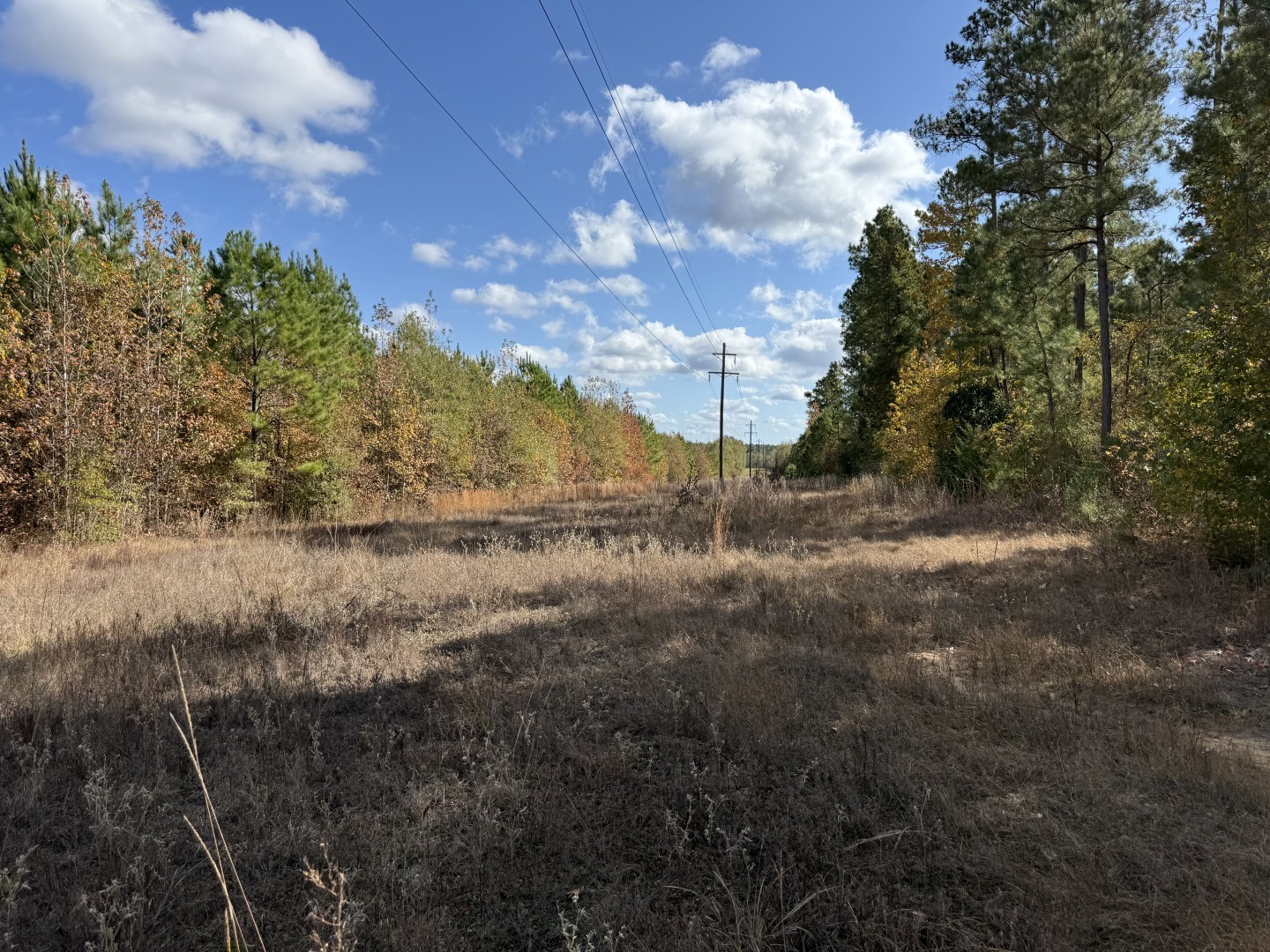 Tbd Fm 1650 Gilmer TX 75645