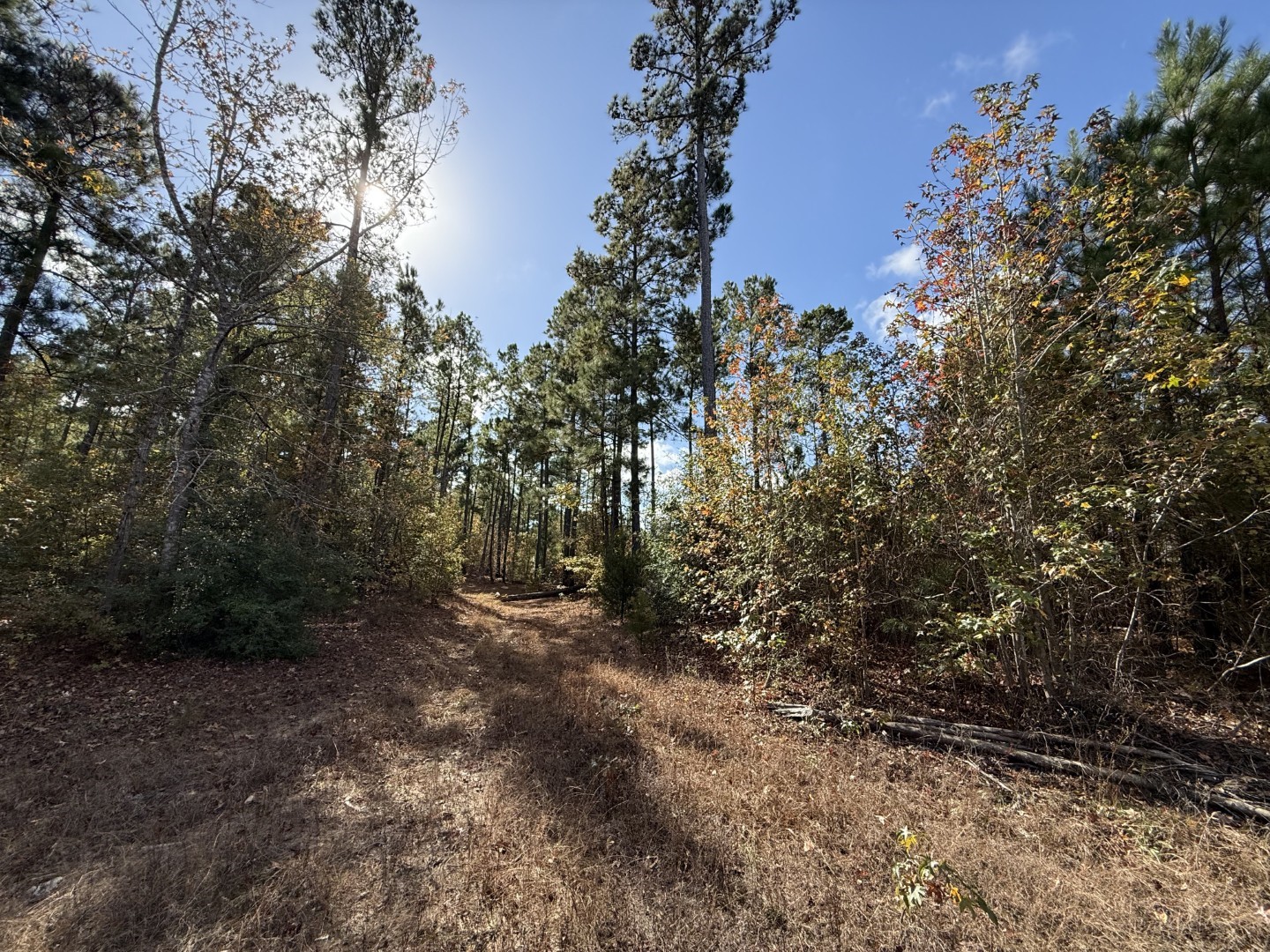 Tbd Fm 1650 Gilmer TX 75645