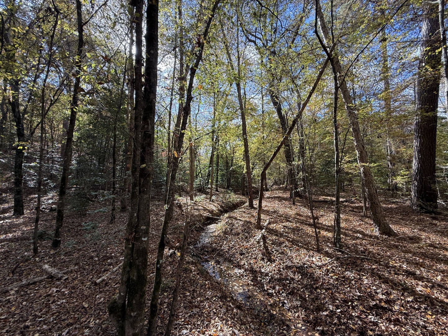 Tbd Fm 1650 Gilmer TX 75645