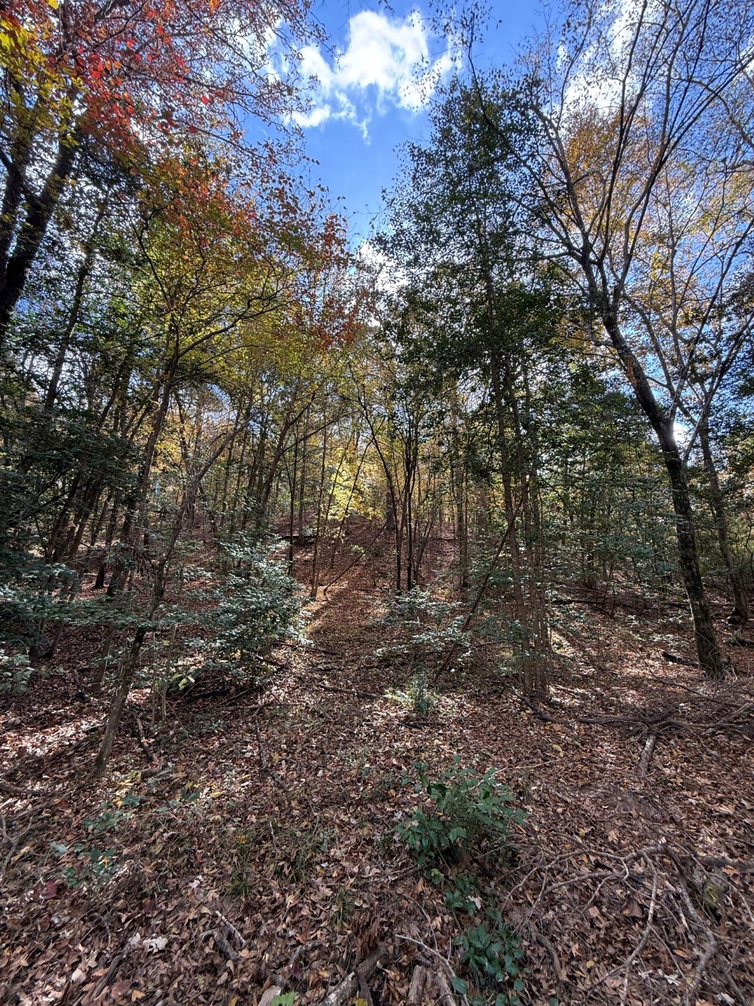 Tbd Fm 1650 Gilmer TX 75645