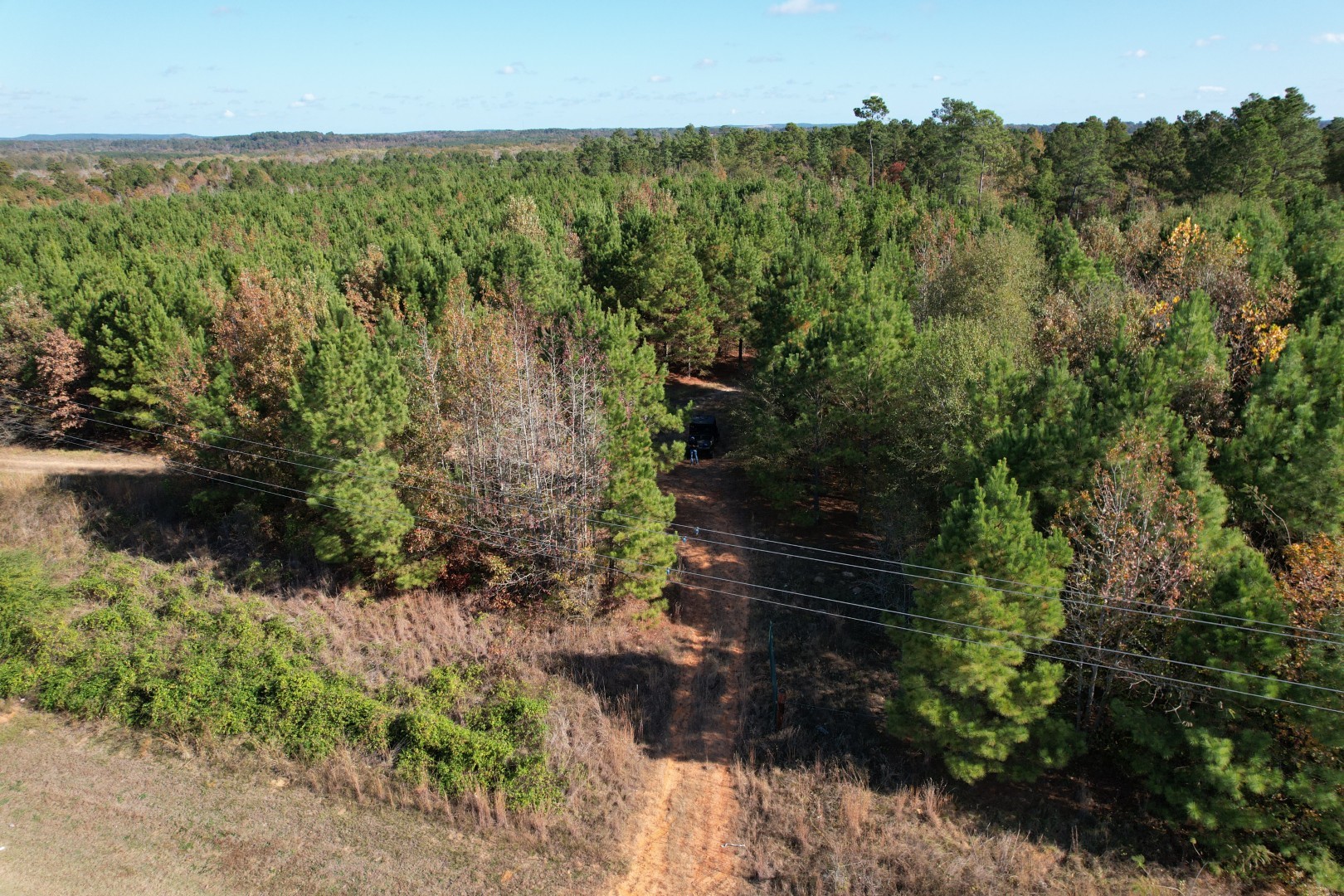 Tbd Fm 1650 Gilmer TX 75645