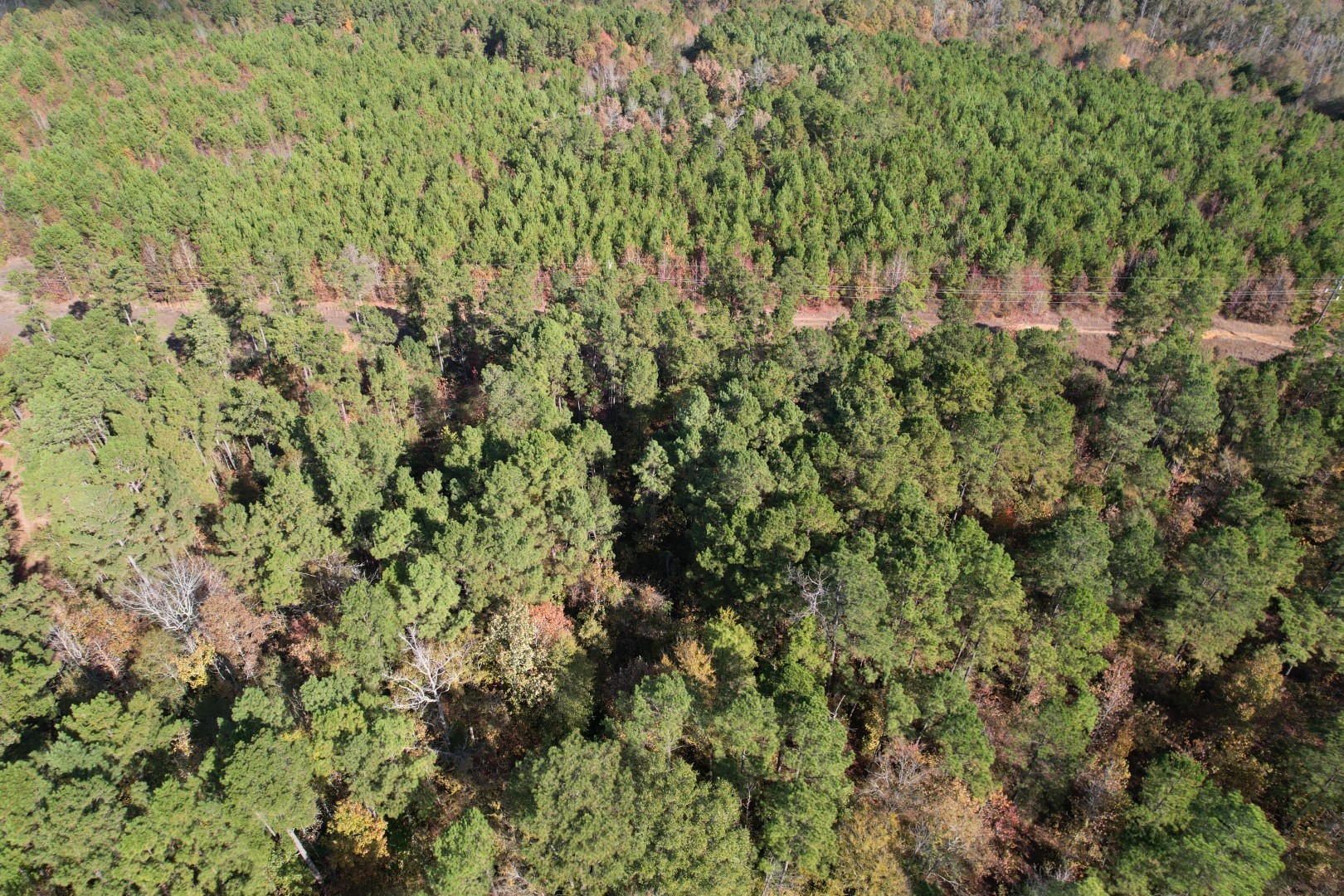 Tbd Fm 1650 Gilmer TX 75645