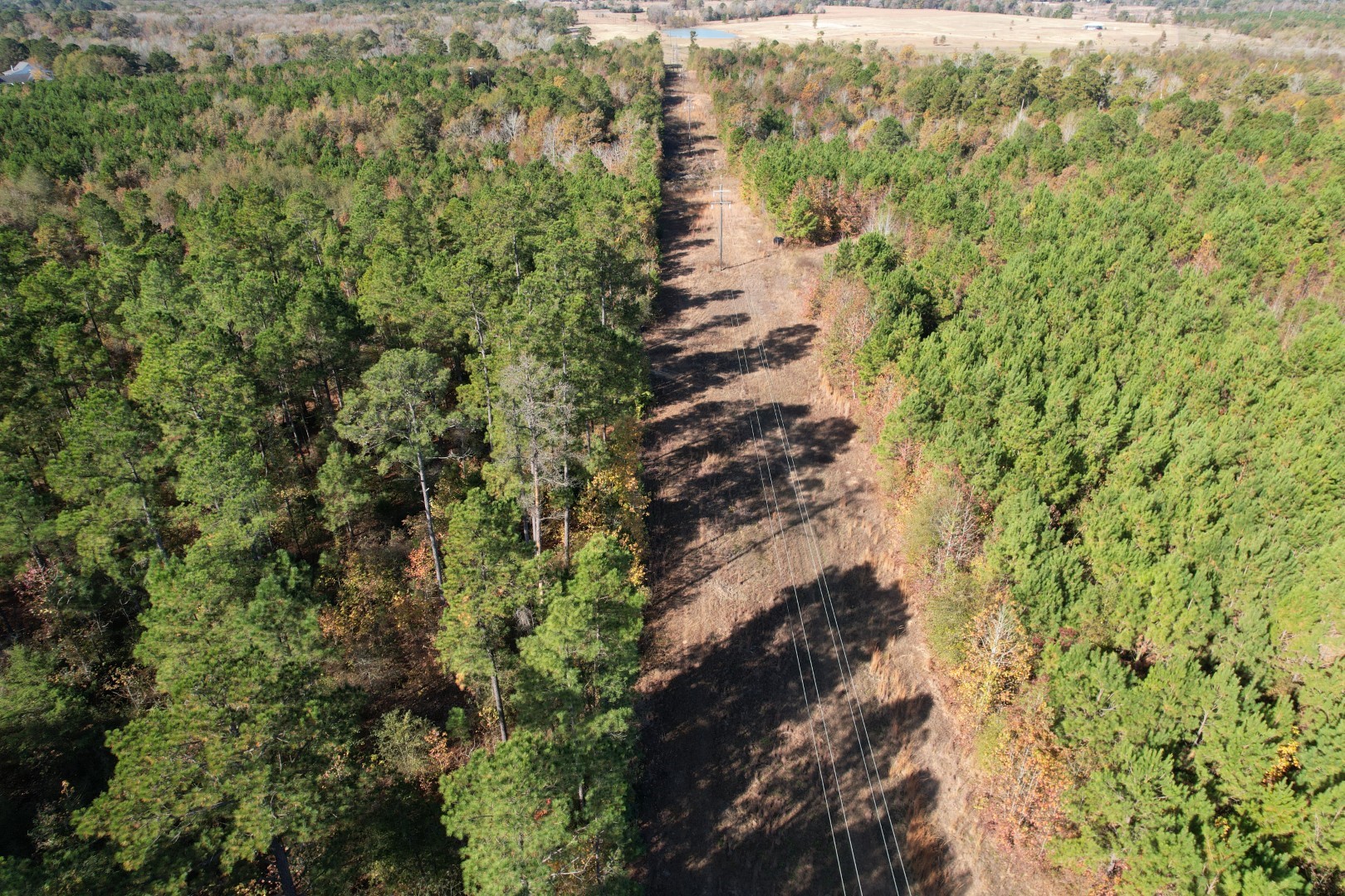 Tbd Fm 1650 Gilmer TX 75645