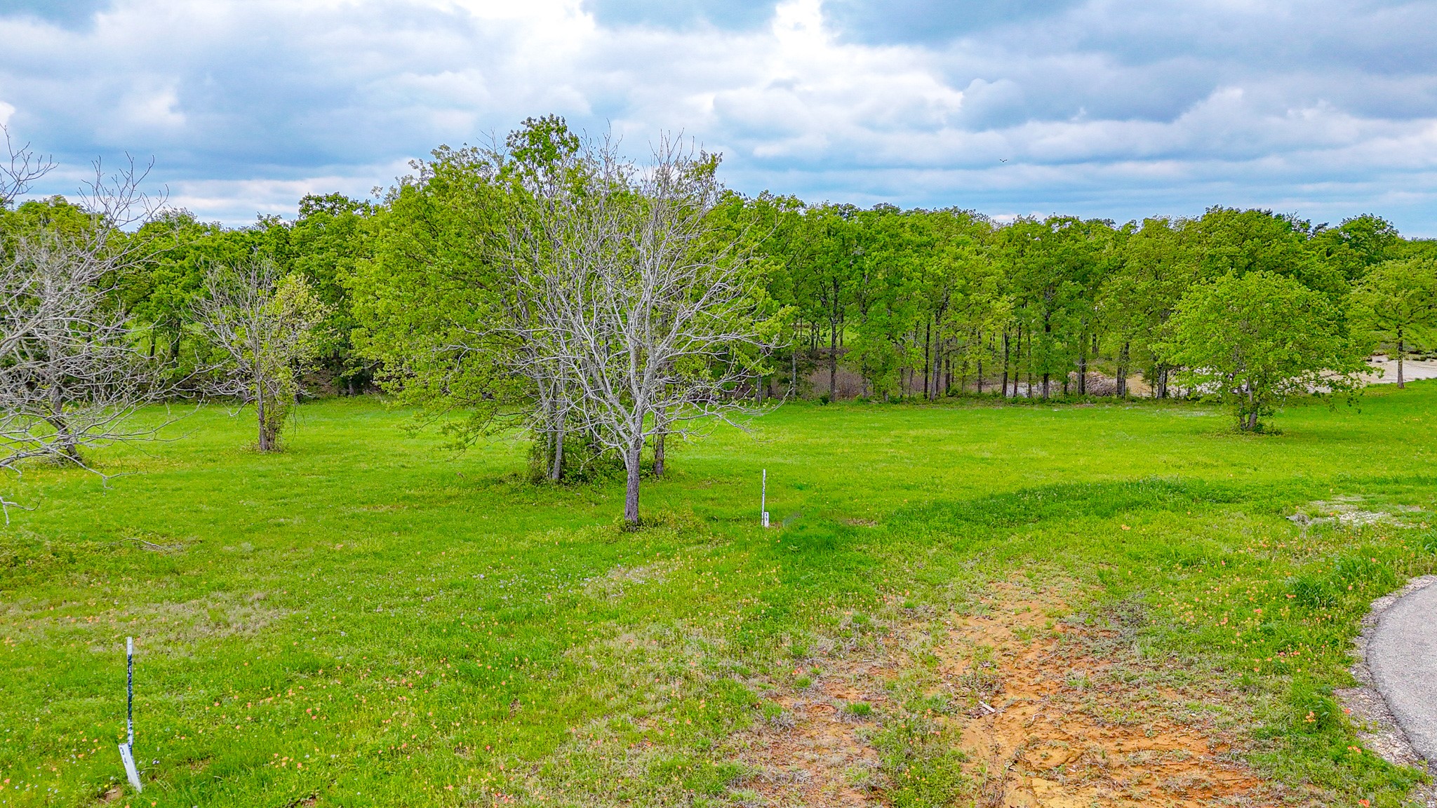Lot 32 & 33 & Bs 24 Lake Ridge Drive Streetman TX 75859