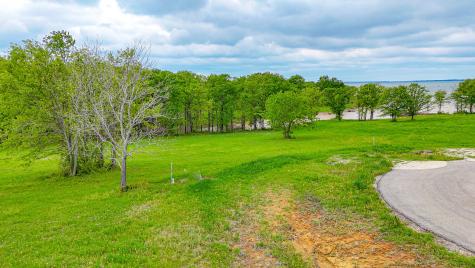 Lot 32 & 33 & Bs 24 Lake Ridge Drive Streetman TX 75859