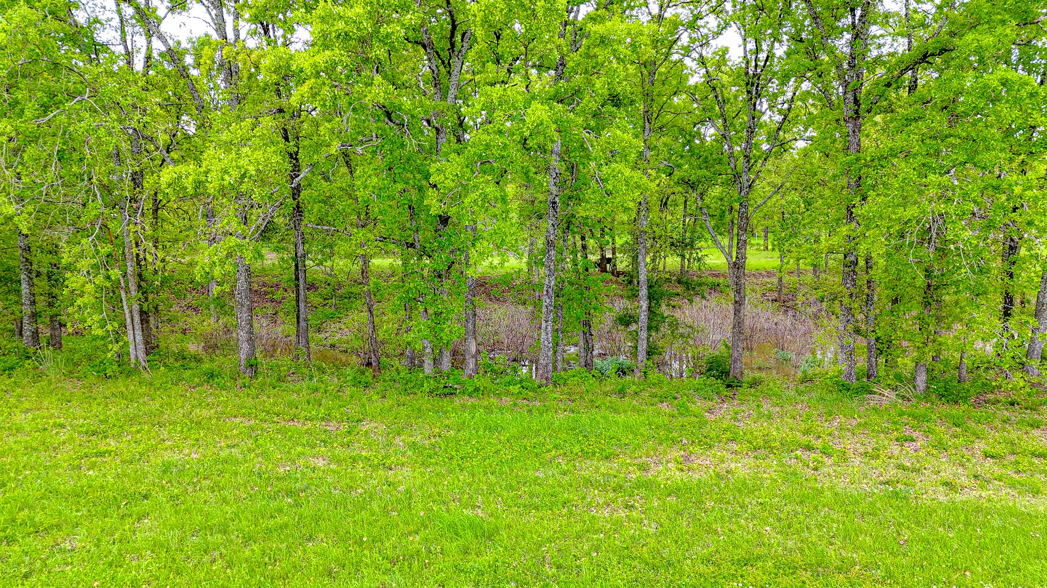 Lot 32 & 33 & Bs 24 Lake Ridge Drive Streetman TX 75859