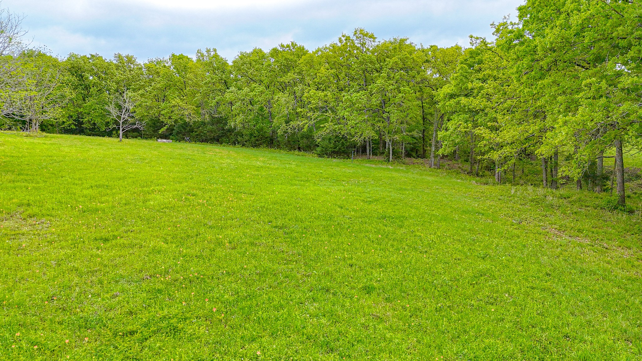 Lot 32 & 33 & Bs 24 Lake Ridge Drive Streetman TX 75859