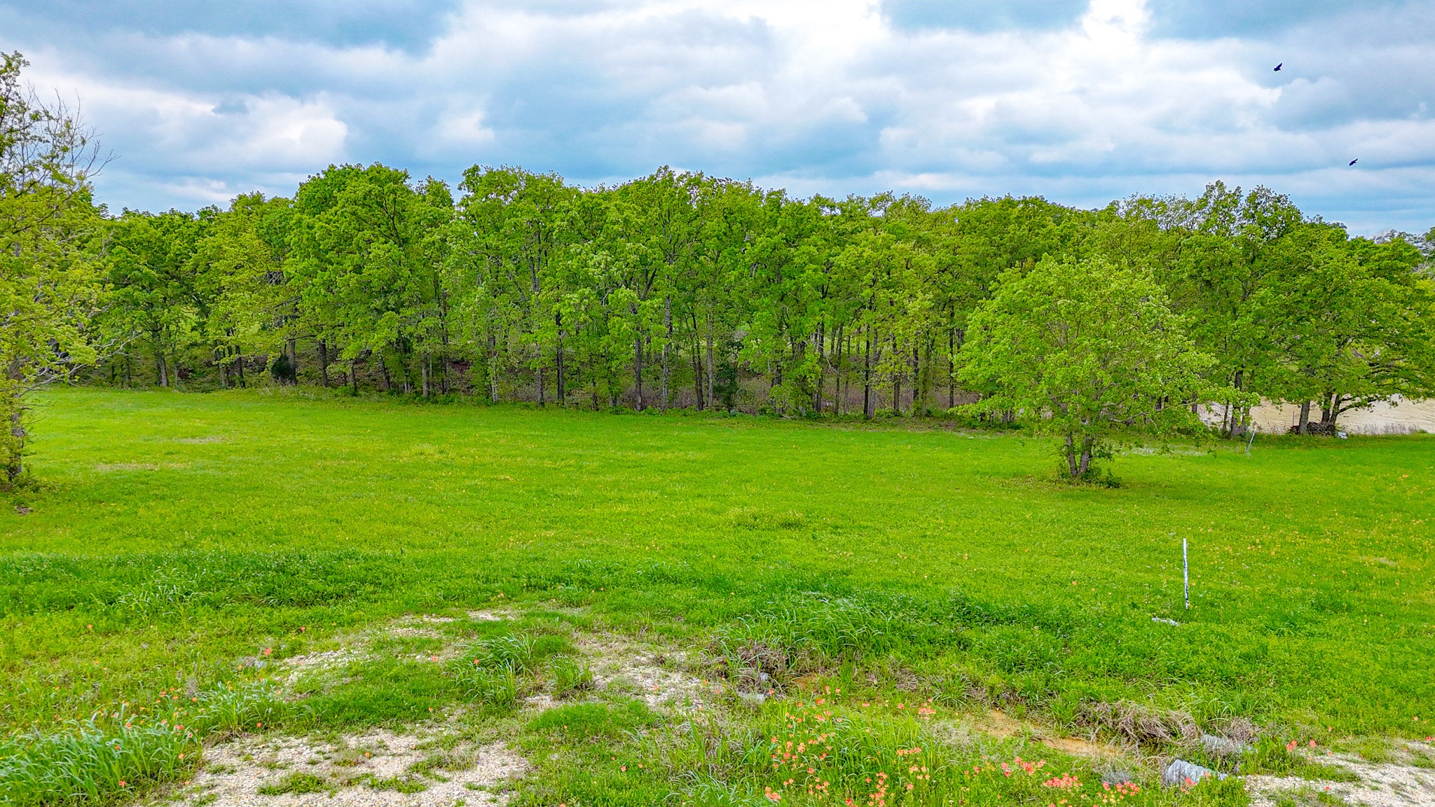 Lot 32 & 33 & Bs 24 Lake Ridge Drive Streetman TX 75859