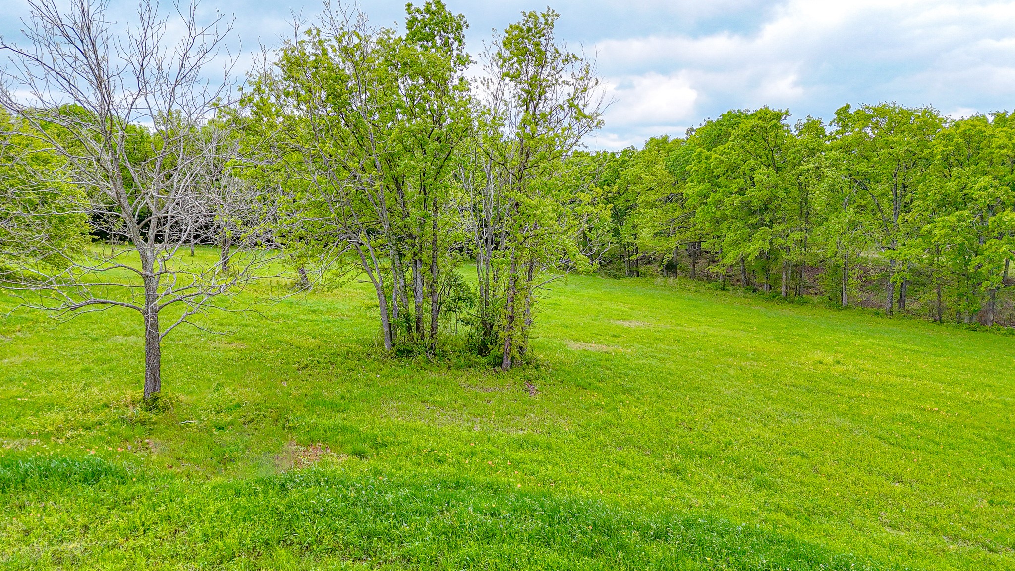 Lot 32 & 33 & Bs 24 Lake Ridge Drive Streetman TX 75859