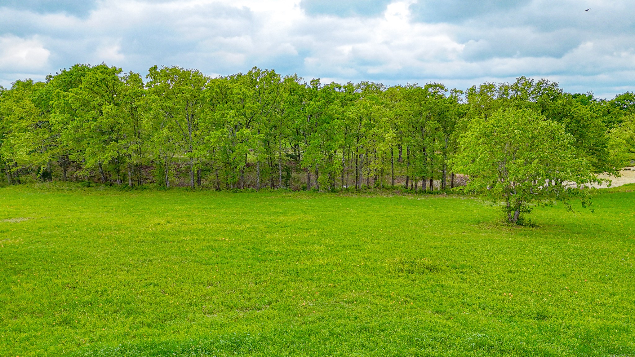 Lot 32 & 33 & Bs 24 Lake Ridge Drive Streetman TX 75859