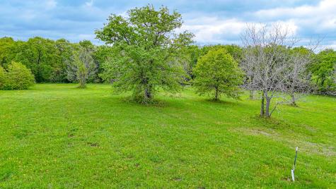 Lot 32 & 33 & Bs 24 Lake Ridge Drive Streetman TX 75859