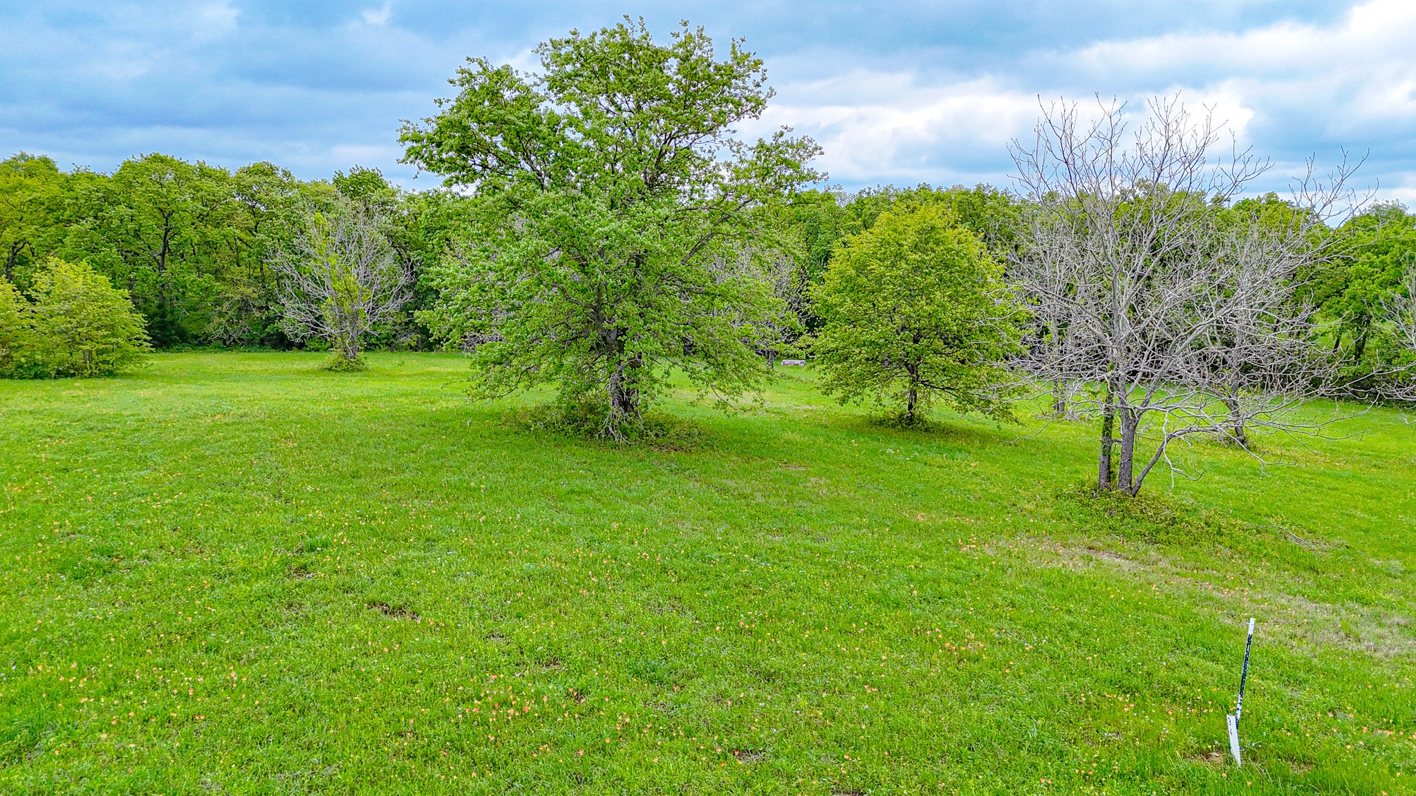 Lot 32 & 33 & Bs 24 Lake Ridge Drive Streetman TX 75859