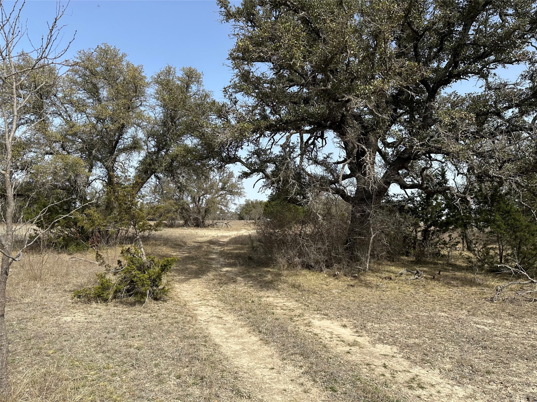 360 County Road 199 Mullin TX 76864