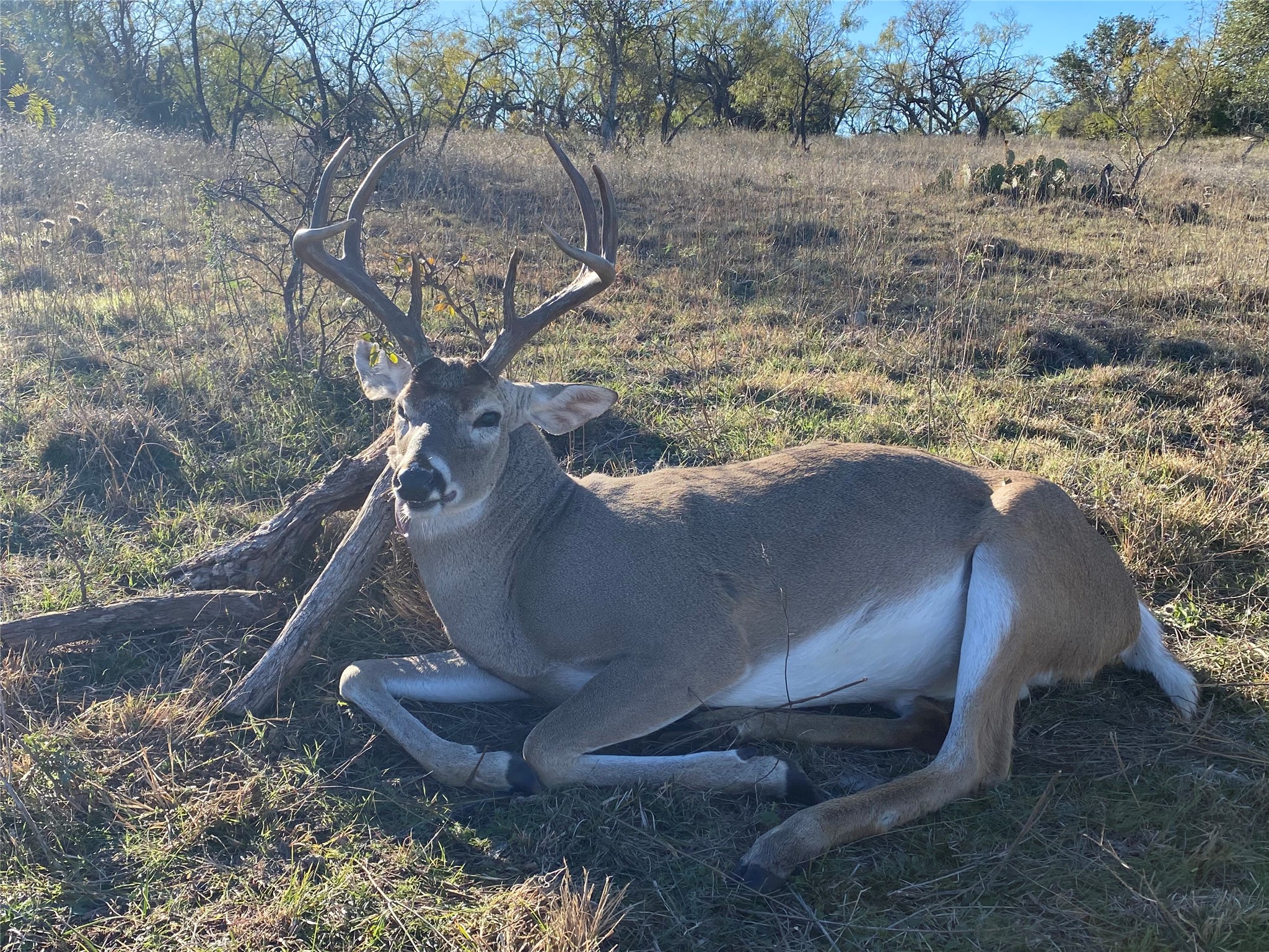 360 County Road 199 Mullin TX 76864