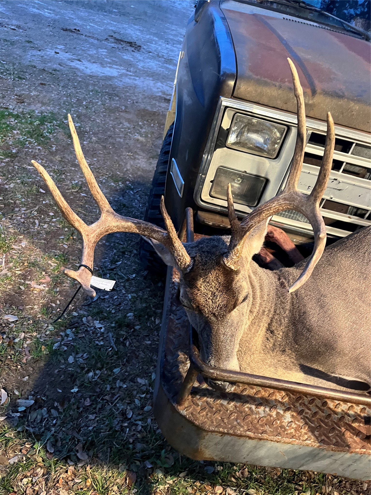 360 County Road 199 Mullin TX 76864