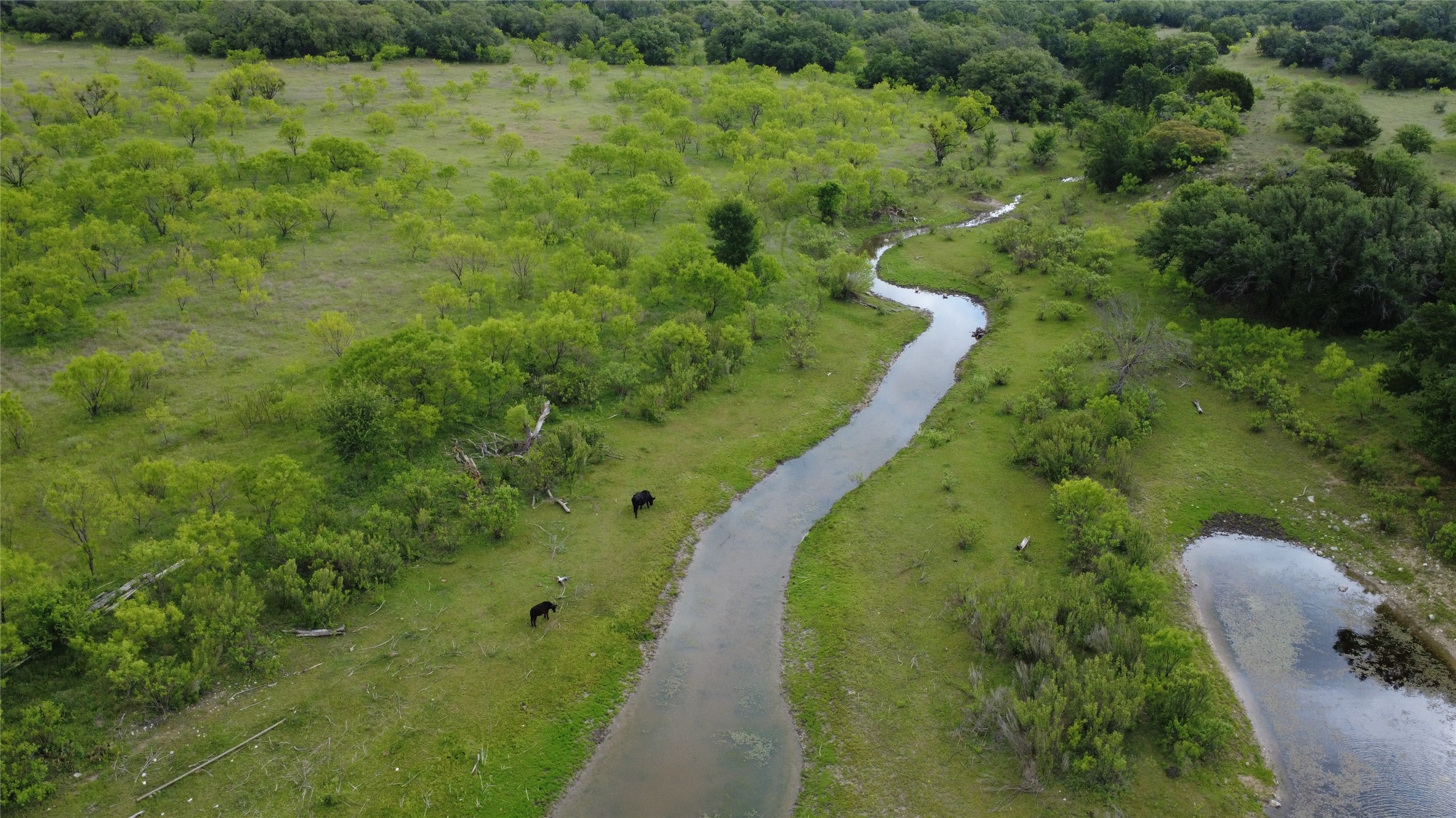 360 County Road 199 Mullin TX 76864