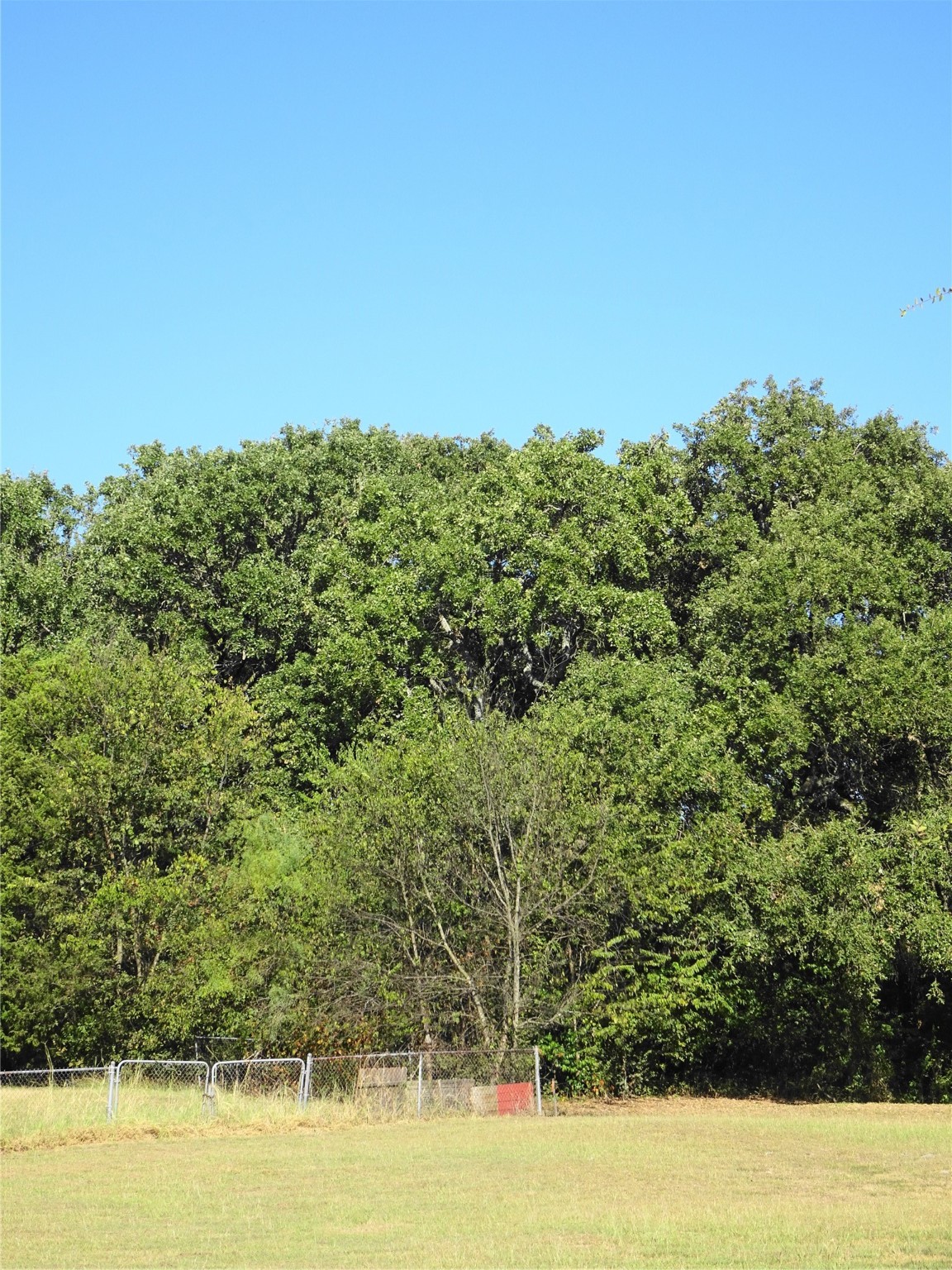 232 Softwind Gun Barrel City TX 75156