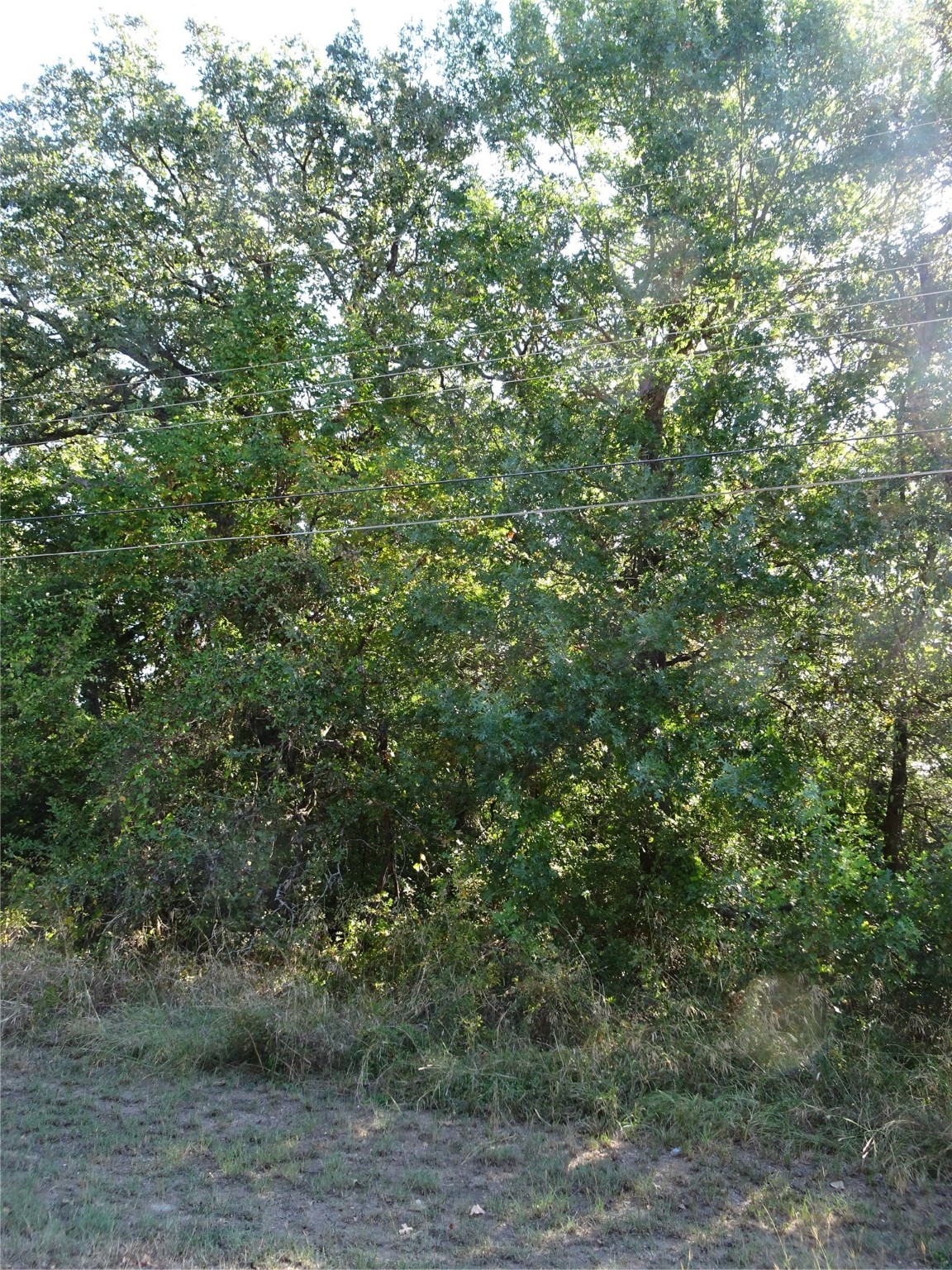 232 Softwind Gun Barrel City TX 75156