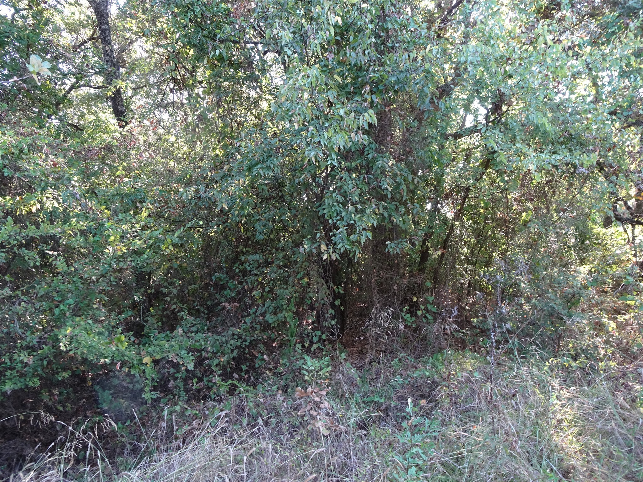 232 Softwind Gun Barrel City TX 75156