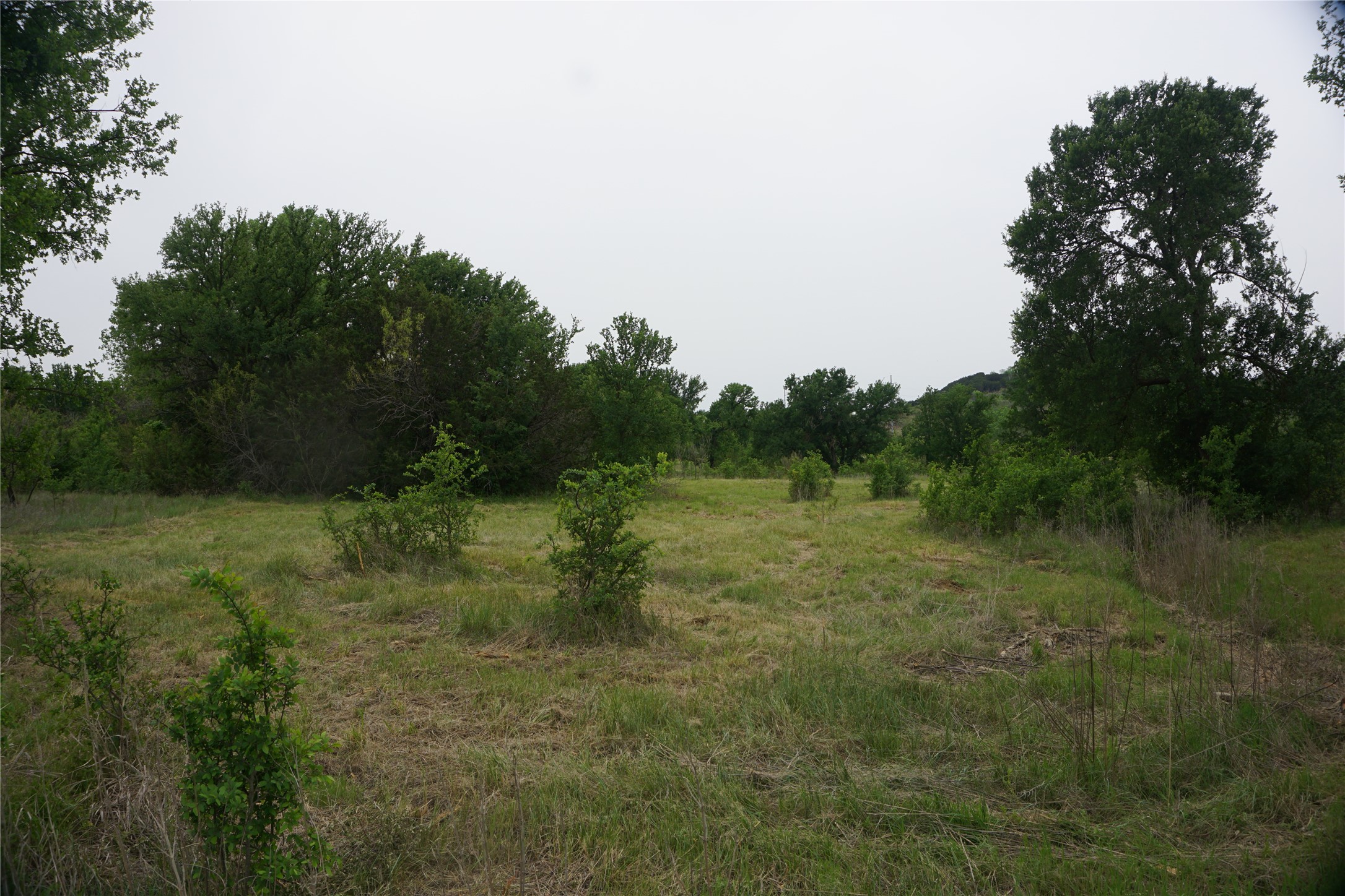 Lot 18 Northern Bobwhite Court Possum Kingdom Lake TX 76449