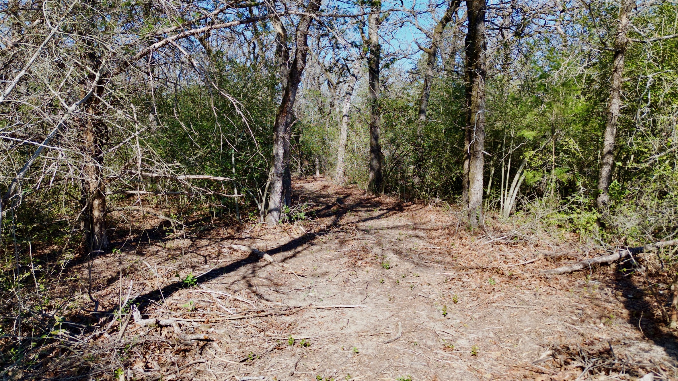 100 Pr 617 Kosse TX 76653