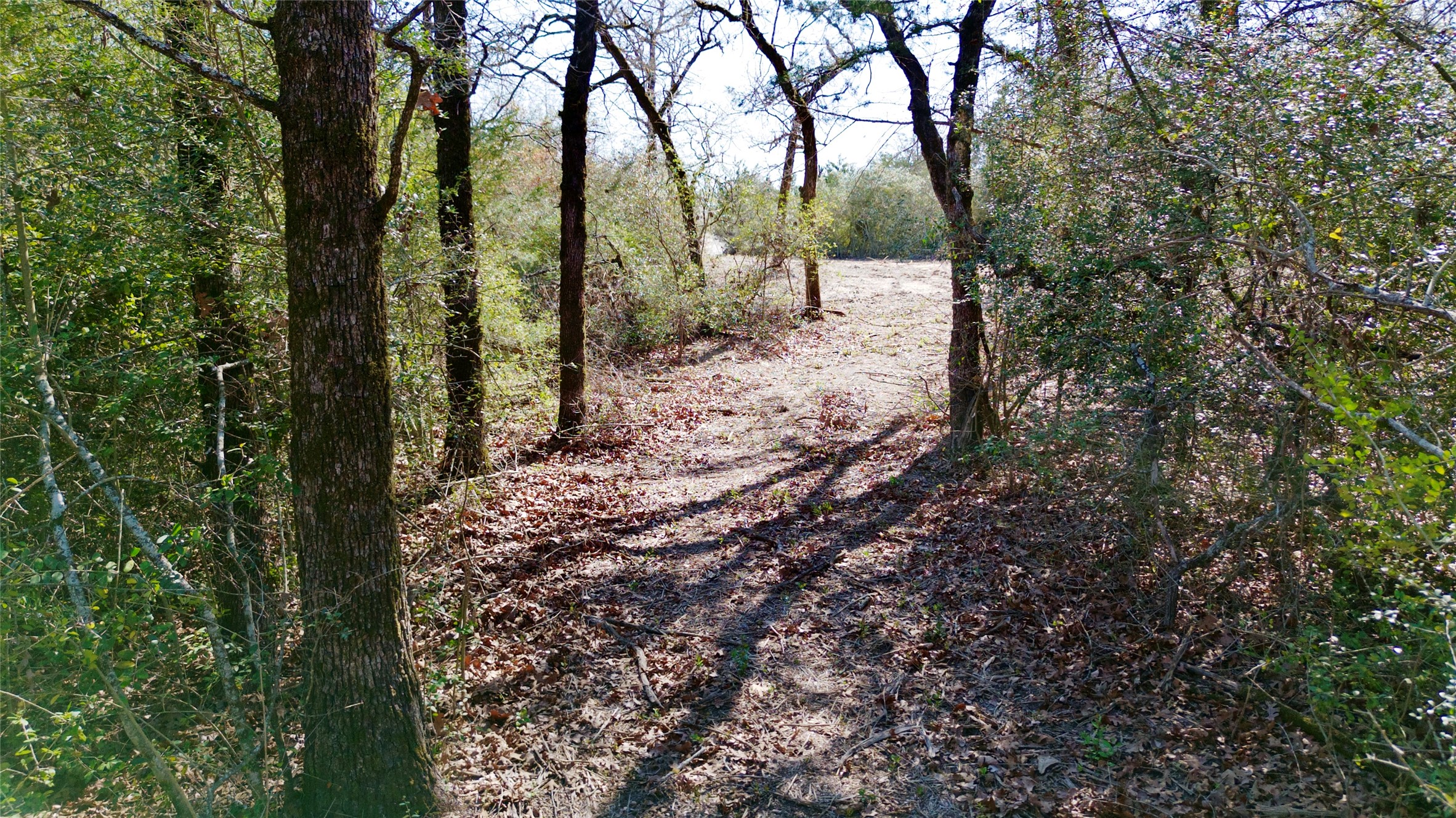 100 Pr 617 Kosse TX 76653