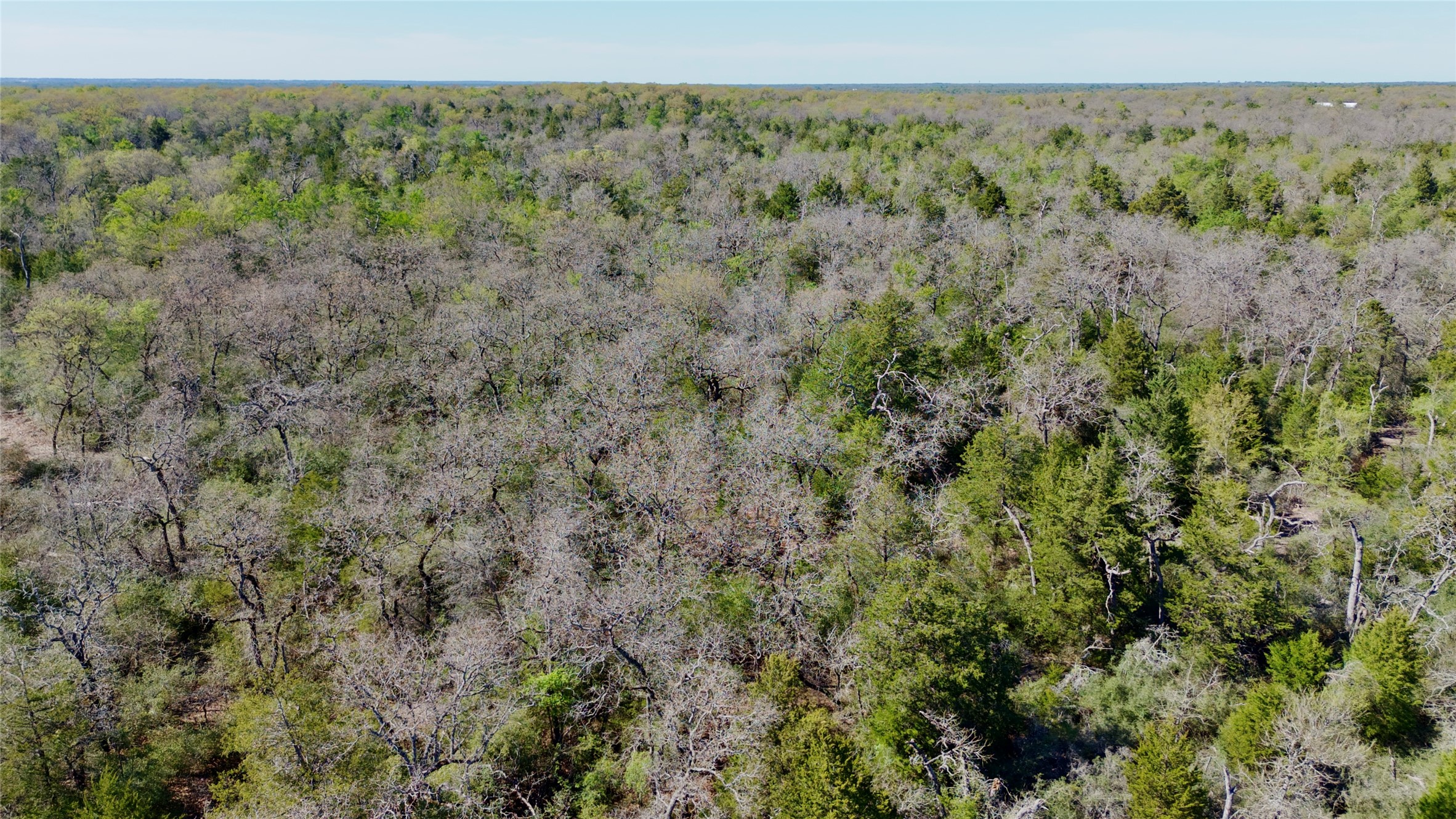 100 Pr 617 Kosse TX 76653