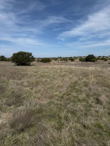 205 Gilmore Court Lipan TX 76462