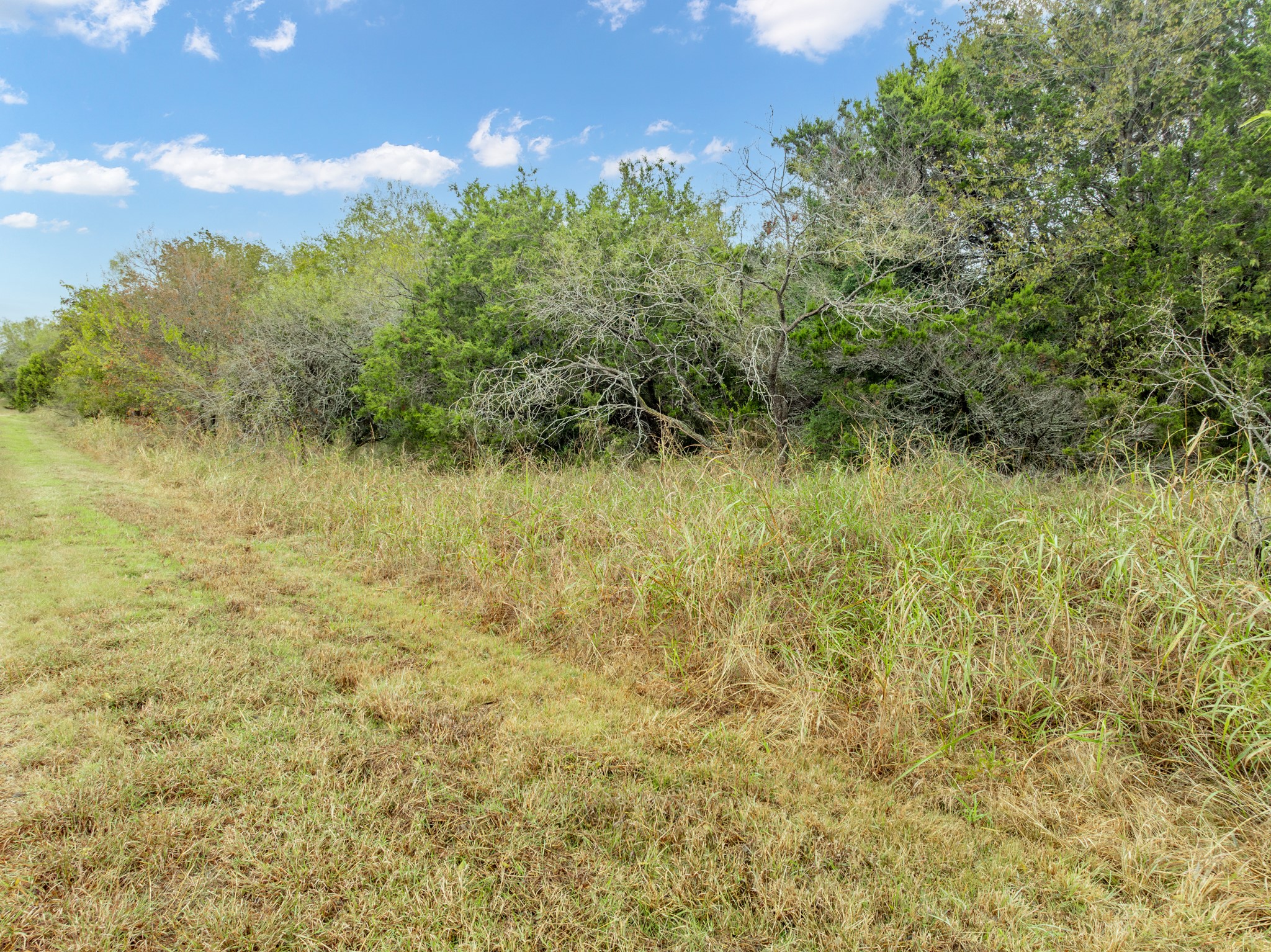 40046 Elmwood Drive Whitney TX 76692