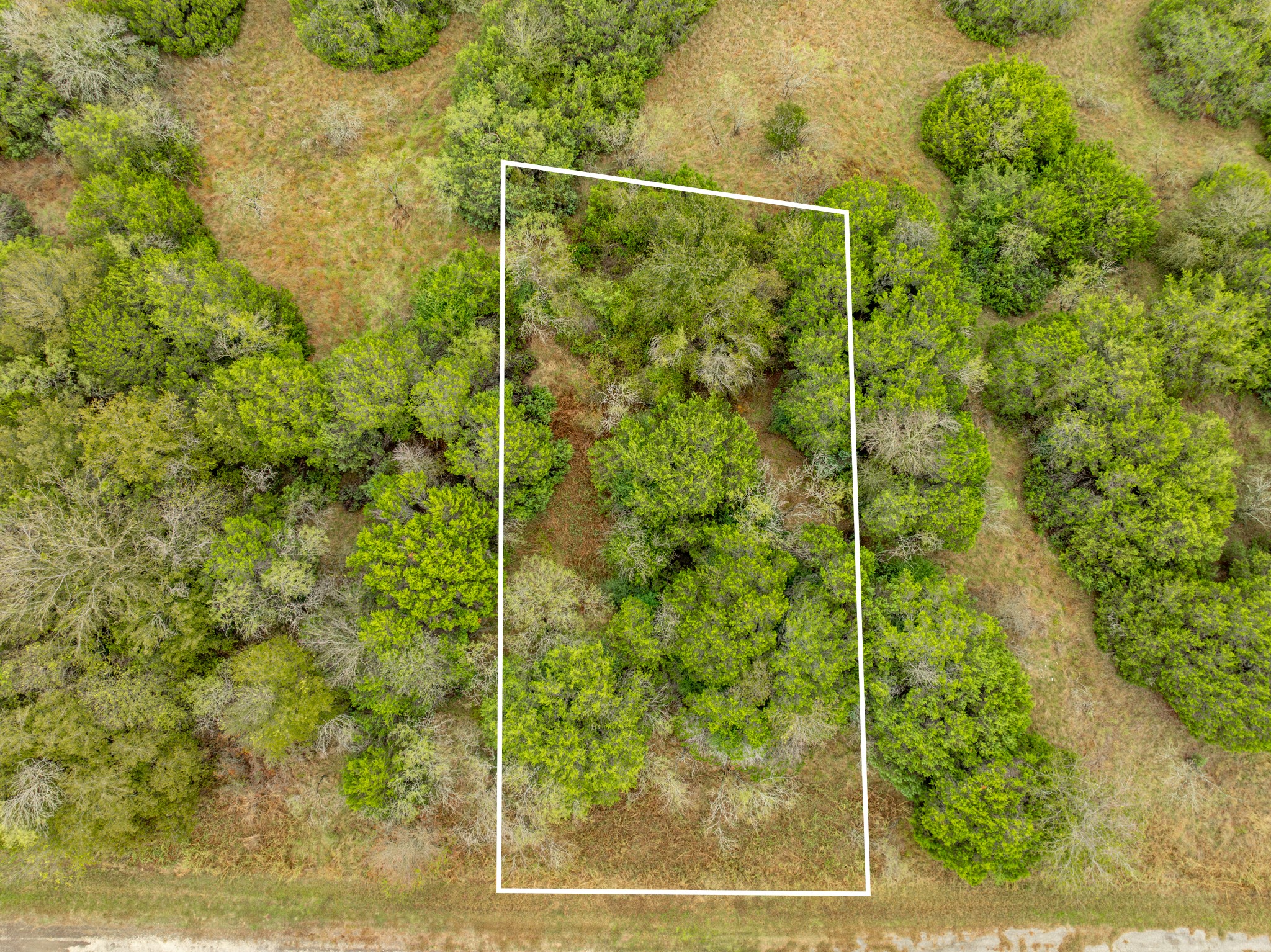 40046 Elmwood Drive Whitney TX 76692