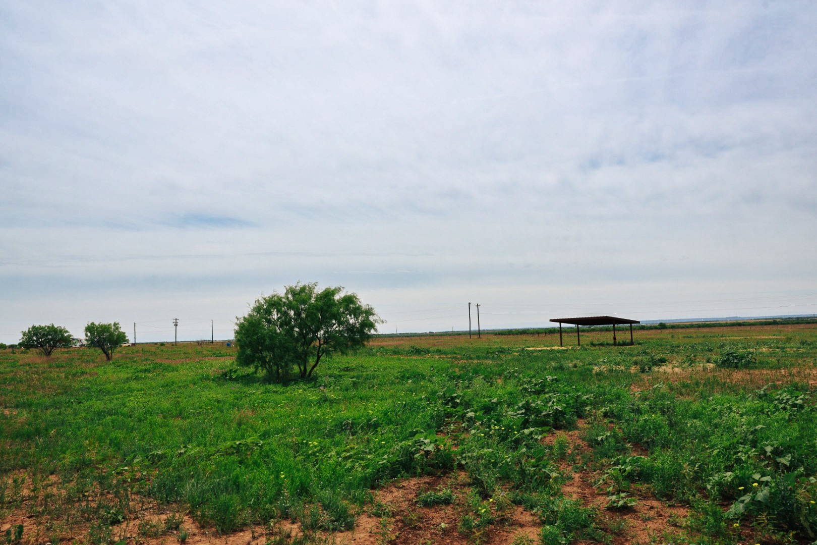 13558 A County Road 440 Merkel TX 79536
