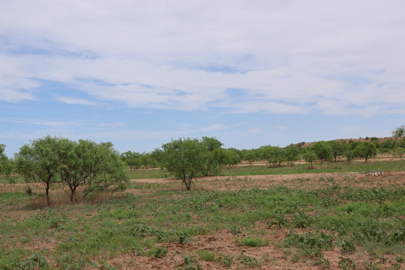 13558 A County Road 440 Merkel TX 79536