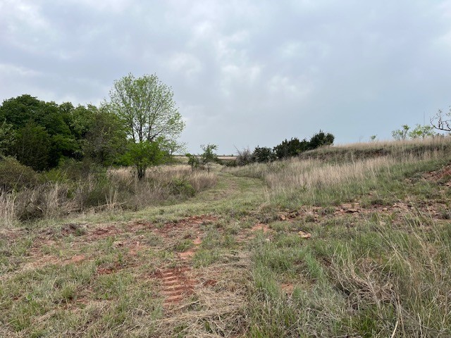 35 Ac Two Bush Road Perrin TX 76486