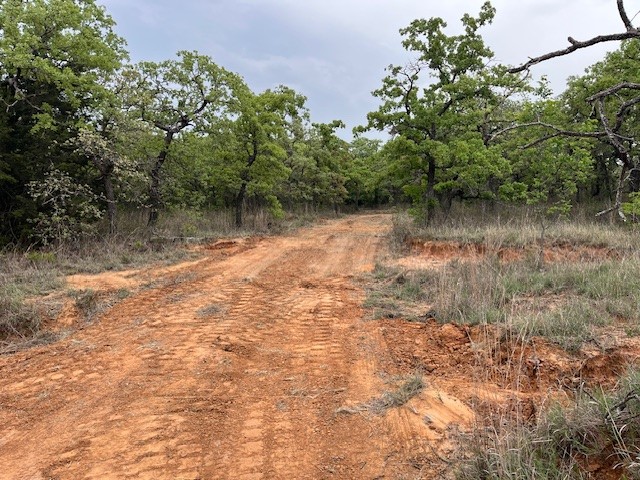 35 Ac Two Bush Road Perrin TX 76486