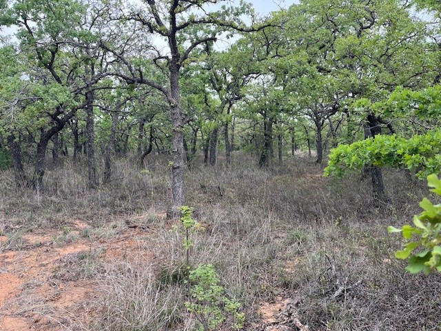 35 Ac Two Bush Road Perrin TX 76486