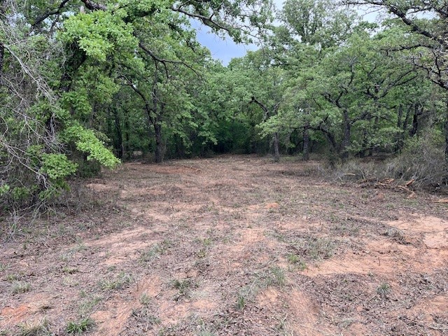 35 Ac Two Bush Road Perrin TX 76486