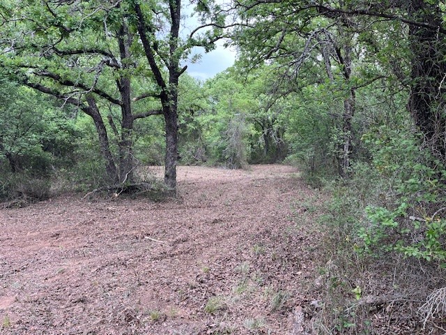35 Ac Two Bush Road Perrin TX 76486