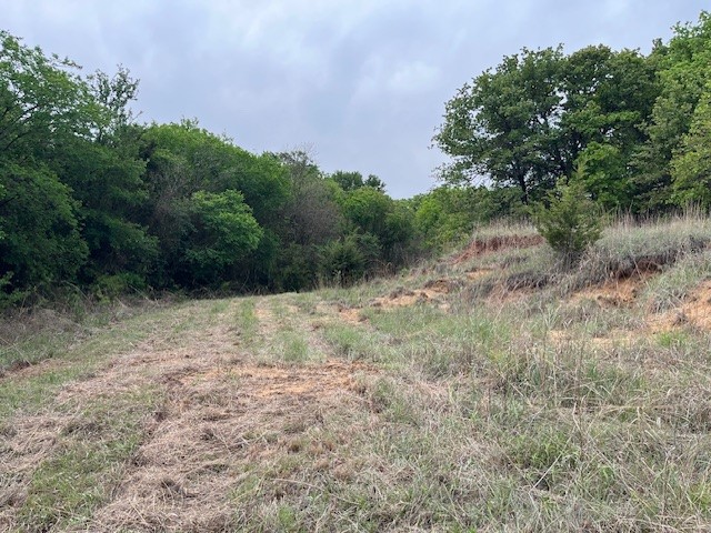 35 Ac Two Bush Road Perrin TX 76486
